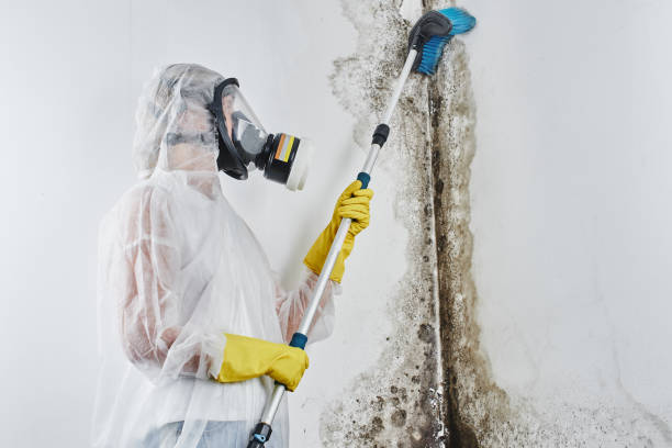 Water damage restoration experts in Midwest City, OK